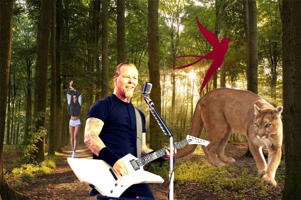 Metallica Pomogla Devushke Prognat Razyaryonnuyu Pumu