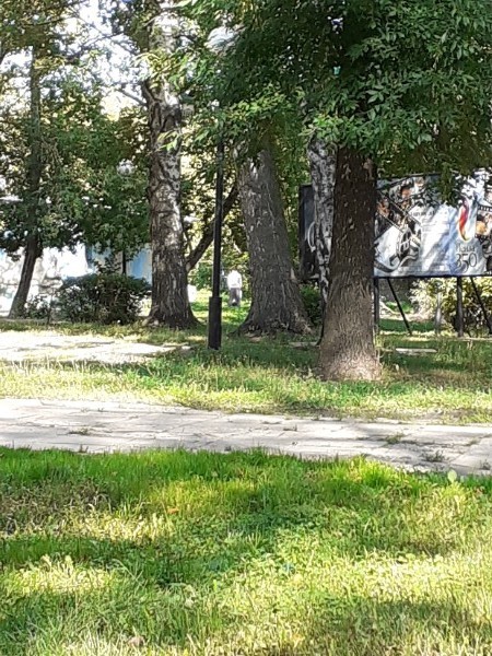 секс в пензенском парке